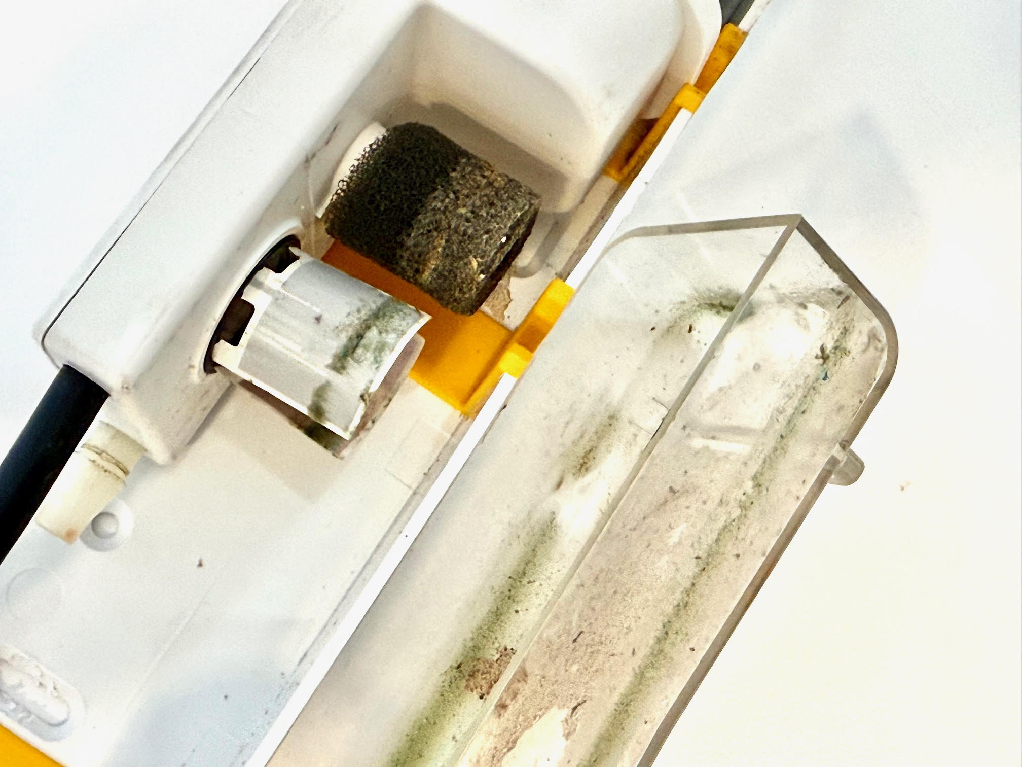 dirty-ac-condensate-pump.jpg